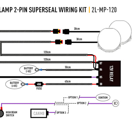 Two-lamp wiring harness (2-pin, Superseal, 12V) - Medium power