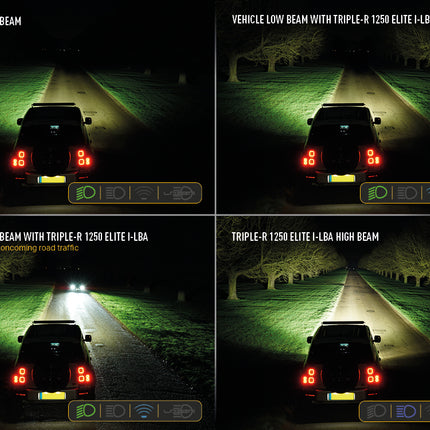 Triple-R 1250 Elite with Low Beam Assist incl. cable set